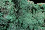 Malachite on Matrix - Morocco #57055-1